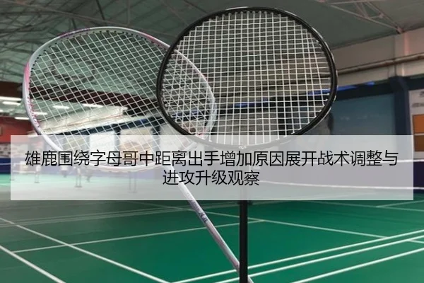 雄鹿围绕字母哥中距离出手增加原因展开战术调整与进攻升级观察